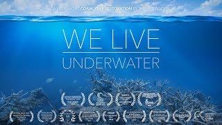 We live underwater (Biorock Coral Reef Restoration / Artificial Reef)