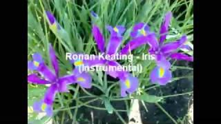 Ronan Keating - iris (Instrumental)