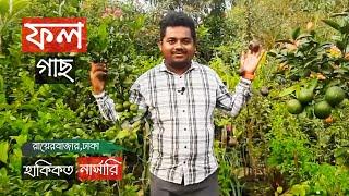 Fruit Tree Price In Hakikat Nursery | ফল গাছের দাম | Gardening Bangladesh