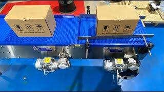 Transfer Conveyor using Modular Plastic Belt by C Trak ltd UK