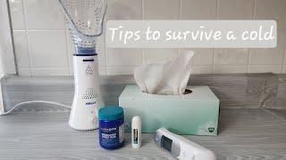 Tips to Survive a Cold