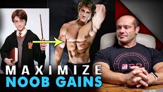 Noob Gains Explained