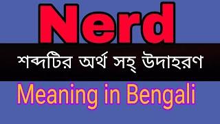 Nerd meaning in Bengali/Nerd mane ki