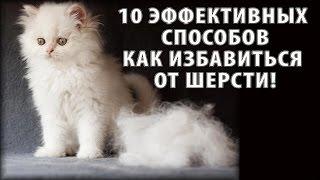 КАК ИЗБАВИТЬСЯ ОТ ШЕРСТИ КОТА, СОБАКИ И Т.Д.?  | 10 самых ЭФФЕКТИВНЫХ СПОСОБОВ! | Убираем шерсть.