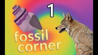 Fossil Corner Part 1 - Unboxing