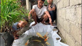 Rama Bikin Kolam Ikan Dari Plastik, Tapi Bocor