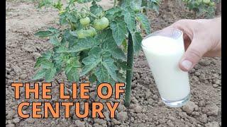 THE LIE OF CENTURY: MILK FERTILIZER #fertilizer #fertilizerforplants #milk  #organicfertilizer