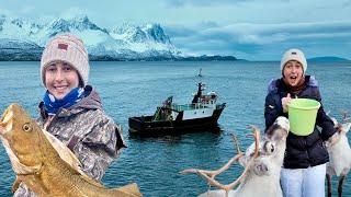 Arctic Sea Cod Fishing & Reindeer Stew! (Things to do in Norway)