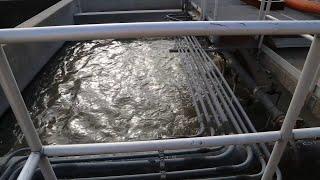 City of Houston testing human waste water for COVID-19