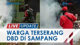 Warga Terserang DBD di Sampang Madura Terus Bertambah, Sejak Awal 2022 Sudah Tercatat 37 Kasus