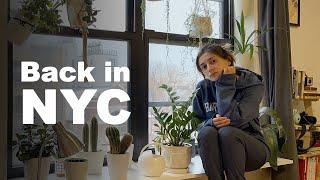 Post-travel Depression is Real || Coming Back to New York