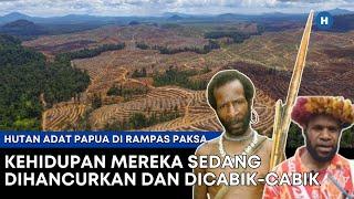 HUTAN ADAT PAPUA DIRAMPAS PAKSA KEHIDUPAN DIHANCURKAN DAN DICABIK-CABIK