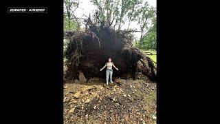 WATCH: Storm ravages Northeast Ohio: A look at damage as people clean up