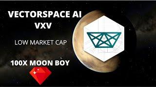 VXV Vector Space AI Is A Data Monster / 100x Hidden Gem ($1000?)