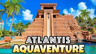 Top 10 BEST Water Slides at Atlantis Bahamas Aquaventure Water Park