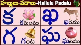 హల్లులు - పదాలు #HALLULU PADALU | Telugu Hallulu WORDS | Learn telugu words | Telugu vanam