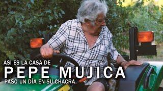 Entro a la CASA de PEPE MUJICA. Me muestra COMO VIVE y su rutina con gallinas, flores y tractores.