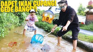 BERBURU IKAN CUPANG BESAR DI SALURAN PENGAIRAN YANG VIRAL!!! TANGKEP SEMUA, DAPET BANYAK BANGET!!!