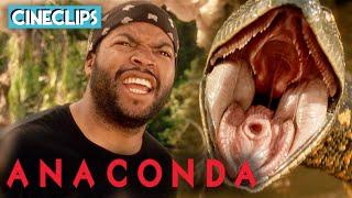 Ice Cube's Encounter With Anaconda | Anaconda | CineClips
