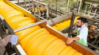 How CHEESE Is Made - Modern Cheese Factory