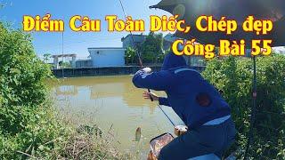 Điểm Câu Diếc Chép Siêu Đẹp - Cống Bài 55, Trạm Bơm Lịch Bài