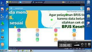 Cara Cek Profil PNS BKN