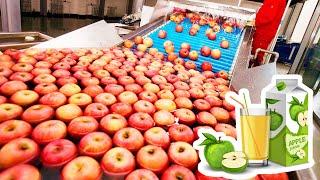 How Apple Juice Is Made In Factory - Modern Fruit Juice Making Technology