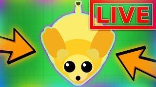 MOPE.IO STREAM #22 | SPHINX - NEW ANIMAL?!