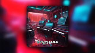 [250+] "Synthara" Producer Tool-Kit | Multi Kit (Drake, Lil Baby, Future, Hunxho, Florida)