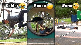How Different Animals Use The Playground (Part 1-2 Compilation)