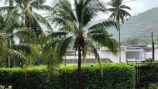 Koh Samui Live - Rainy Day In Koh Samui