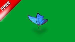 Blue butterfly green screen effects | flying butterfly green screen | green screen butterfly video