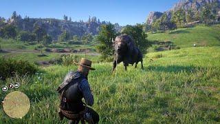 Rdr2 - This is why you should never Lasso a Bison