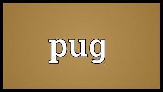 Pug Meaning