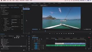 Стабилизация видео в программе Adobe Premiere Pro