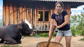 Hard hand work in a mountain village on cows farm. Making 3 types of cheese one day