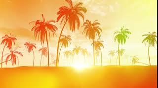 Background Video Summer Palm Trees Happy