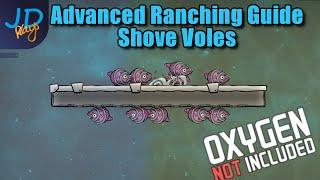 Advanced Ranching Shove Voles | Oxygen Not Included