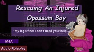 Rescuing An Injured Opossum Boy // Audio Roleplay // M4A // Reverse Comfort