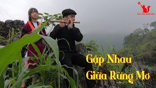 Gặp Nhau Giữa Rừng Mơ | A Mao H'Mông Flute