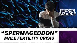 Male Fertility is in Crisis. What's Behind it? | Beyond Bizarre