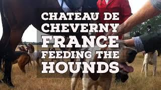 Cheverny, France: Visit The Dogs, Castle, Chateau and Grounds in Loire Valley and CONTROLLED CHAOS