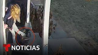 Aterrador video de una niña de 5 años atacada por un mapache | Noticias Telemundo