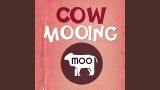 Cow Moo Sound Effect