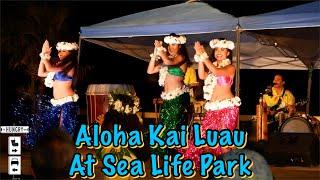 My First Luau: The Aloha Kai Luau At Sea Life Park In Honolulu, HI