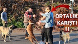 KÖPEKLERİNİ KÖTÜLEYİNCE BABASI GELDİ ORTALIK KARIŞTI !! (KIŞKIRTMA)