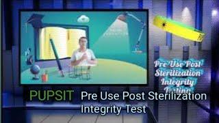 PUPSIT (Pre Use Post Sterilization Integrity Test)  l EU GMP Annex-1 l @Pharmacykababa