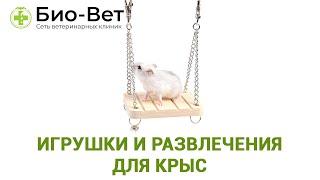Игрушки и Развлечения Для Крыс  // Сеть Ветклиник БИО-ВЕТ