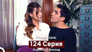 Зимородок 124 Cерия (Короткий Эпизод) (Русский дубляж)