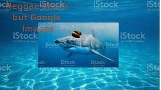 Reggae Shark but its google images